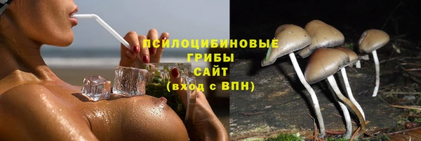 шишки Волосово