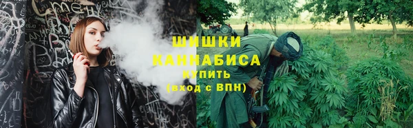 шишки Володарск