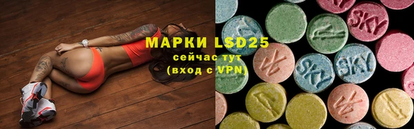 шишки Володарск