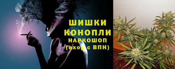 шишки Володарск